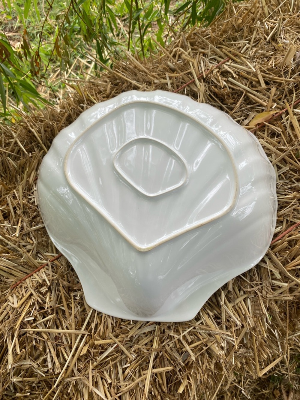White Shell-Shaped Decorative Bowl - Picture 3 of 5